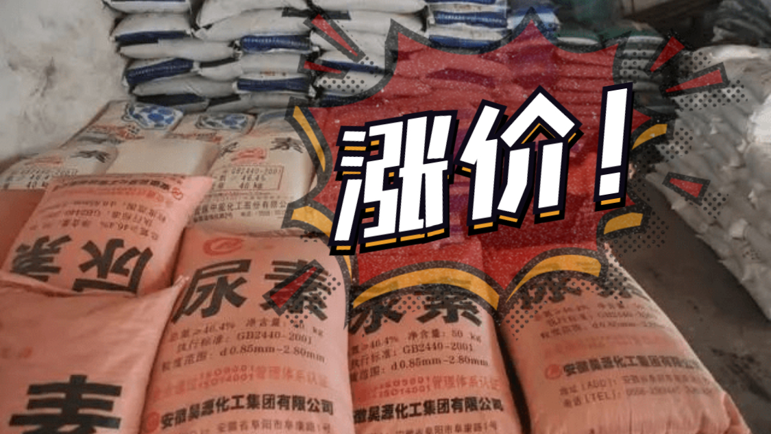 一噸再漲100元，將突破2800元！已經連續暴漲近400元！多地價格再創新高！9月14日（附最新報價）！